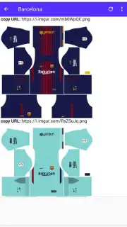 DLS Kits captura 2
