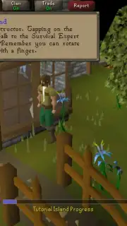 Old School RuneScape captura 1