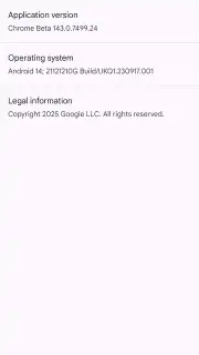 Chrome Beta captura 23
