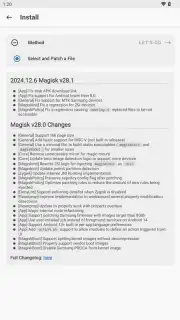 Magisk Manager captura 10