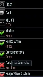 Car Gauge Lite OBD2 captura 10
