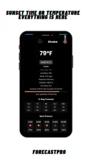 ForecastPro captura 2
