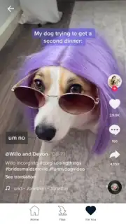 Downloader for TikTok captura 2