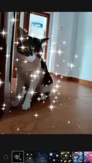 PicsArt captura 21