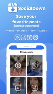 SocialDown: no watermark captura 3