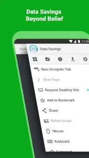 Puffin Browser Pro captura 3