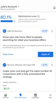 Google Ads captura 3