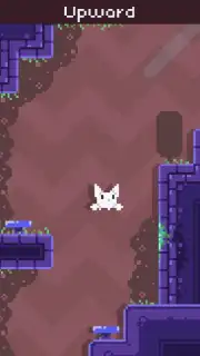 Cat Bird captura 7