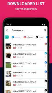 Video Downloader captura 2
