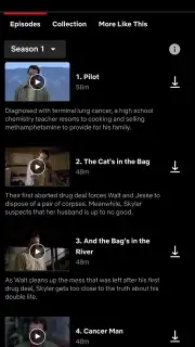 Netflix captura 16
