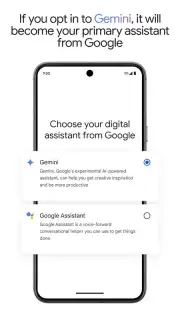 Google Gemini captura 7