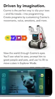 Cozmo captura 8