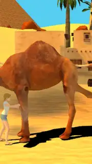 Camel Simulator captura 6