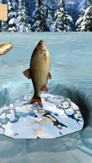 Winter Fishing 3D captura 6