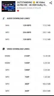 YVideo Downloader captura 4