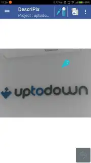 Describe with pictures captura 8