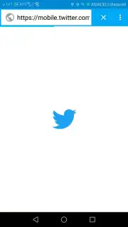 B Browser captura 2
