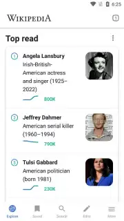 Wikipedia captura 1