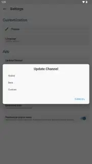 Magisk Manager captura 3