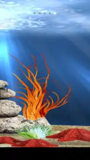 Tropical aquarium captura 5