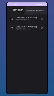 Serfer Browser captura 5