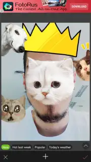 InstaBeauty captura 1