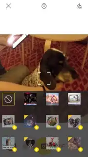 V Camera captura 8