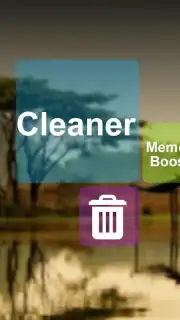 Cleaner captura 8