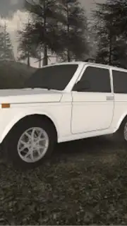 Forest Roads. Niva captura 5