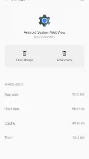 Android System WebView captura 12