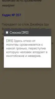 САХИХ МУСЛИМ captura 2