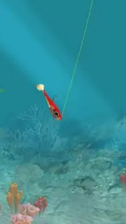 World Fishing Championship captura 7