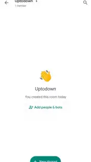 Google Chat captura 6