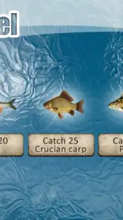 Winter Fishing 3D captura 3
