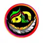 BD NET VPN
